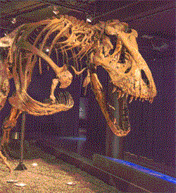 trex
